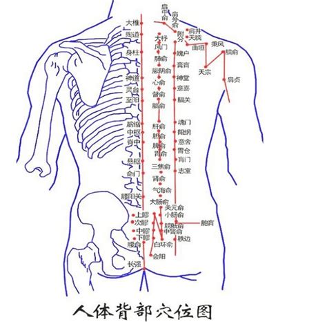 背部有痣代表什么|長在背部的痣有何寓意